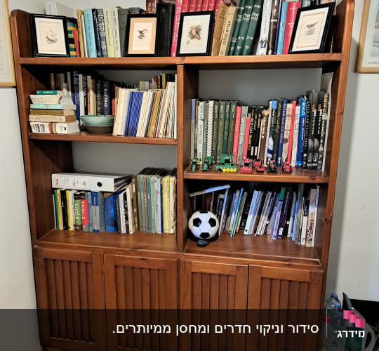 מדף ספרים מסודר עם ספרים ופריטים דקורטיביים